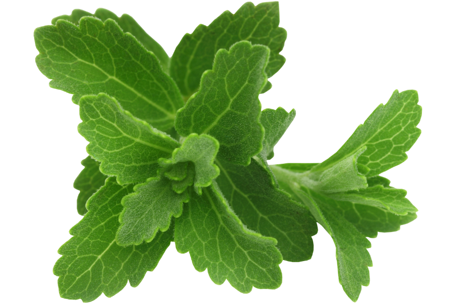 Premium Stevia Leaf Extract