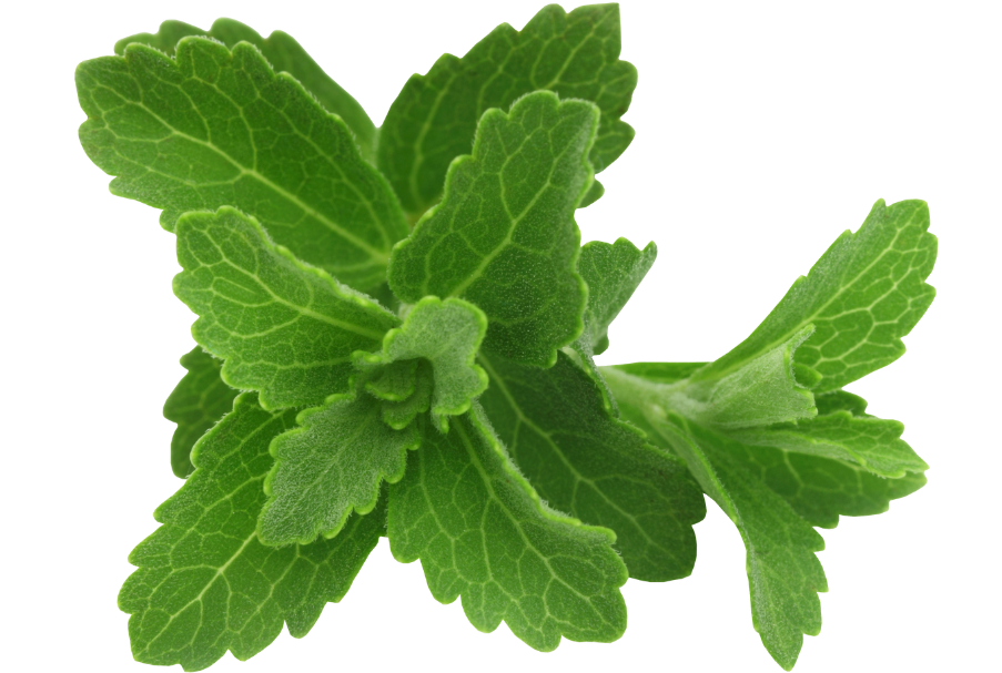 Premium Stevia Leaf Extract