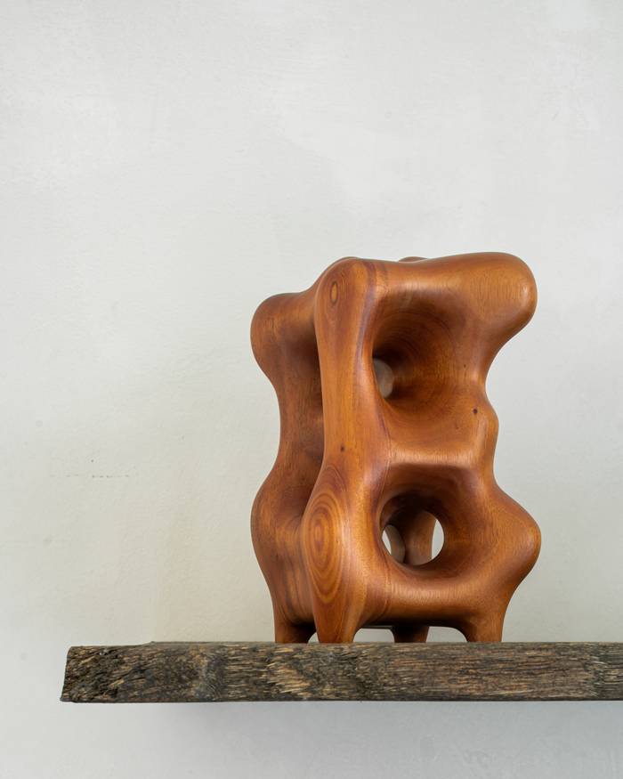 Ethnicraft Mahogany Sculpture Object - Organic