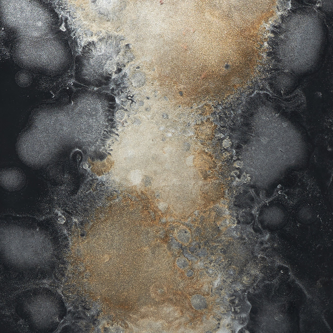 Organic Black