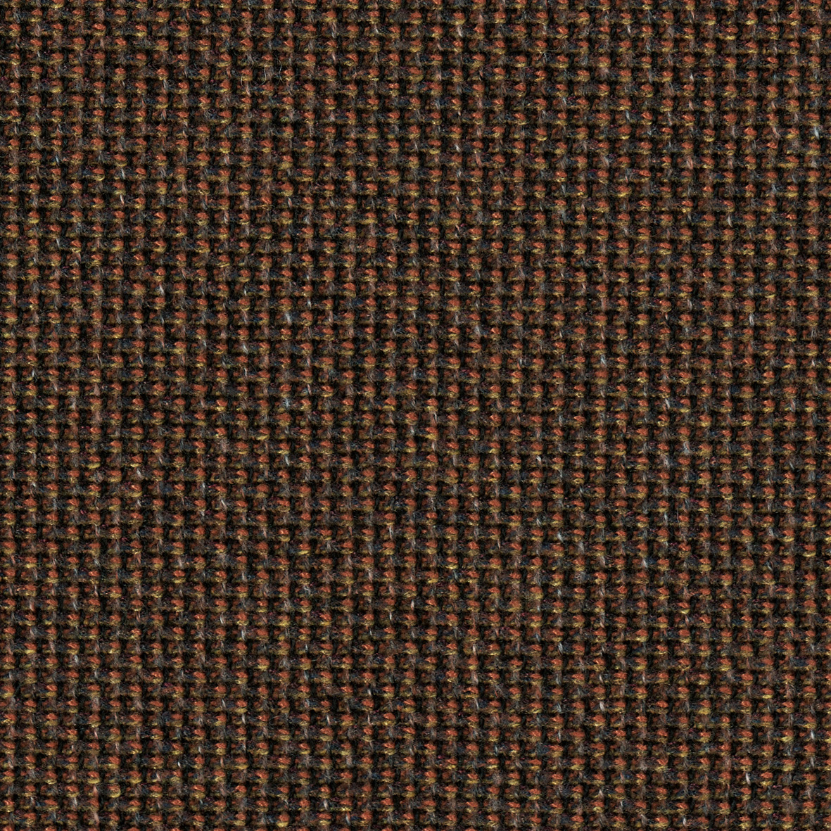 Chocolate-Cyber 1801