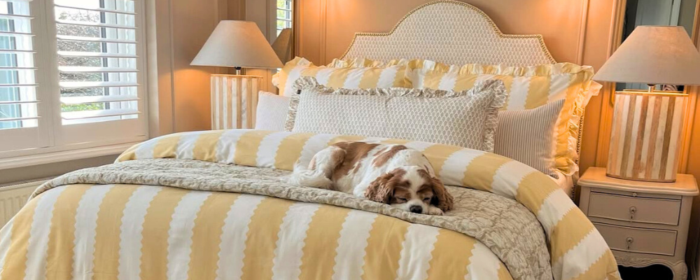 A bed with a yellow striped duvet cover with frilled trim, with a large floral cushion, a throw blanket with a brown and white dog on the top