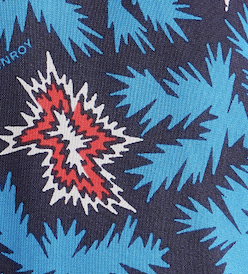 Printed Swim Short - Blue/Red BAM