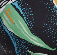 Scoop Neck Bikini Top - Black/White Lily