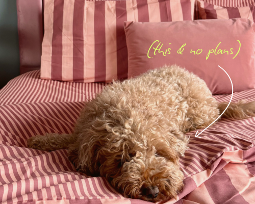 A dog sleeping on top of a pink striped bedding set, with matching striped fitted sheets and pink striped pillowcases