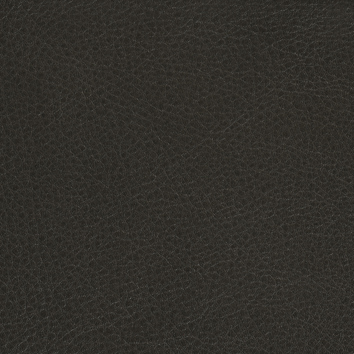 Graphite Parma Leather