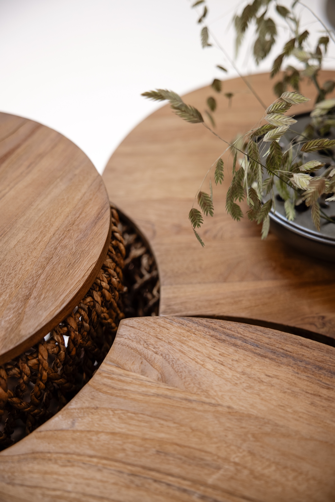 dBodhi Knut Padi Coffee Table - Set A