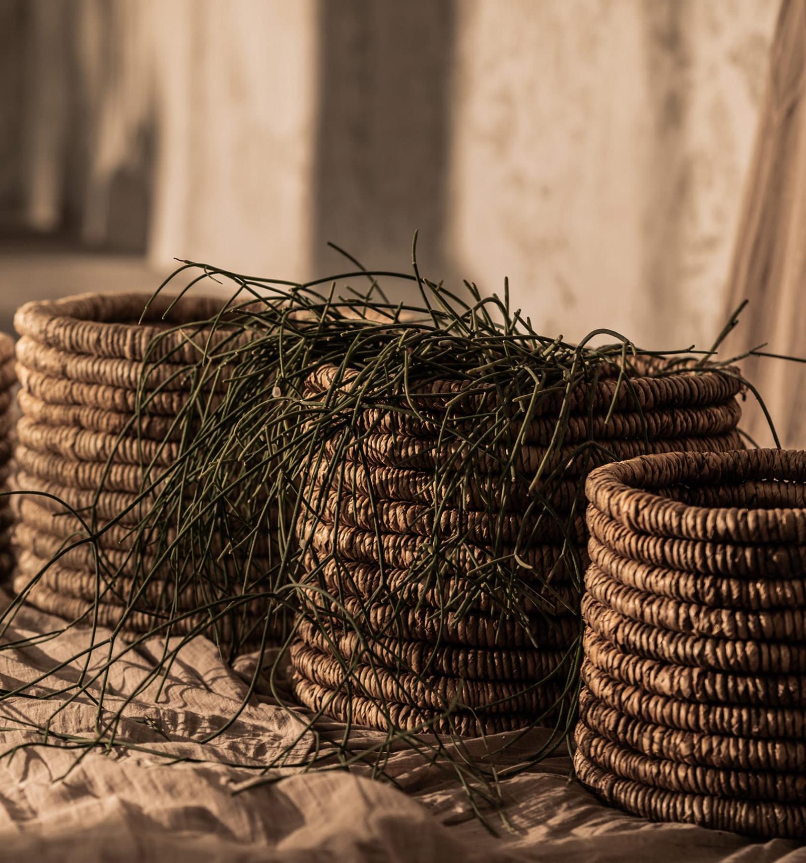 dBodhi Caterpillar Ambang Medium Basket - Set of 2