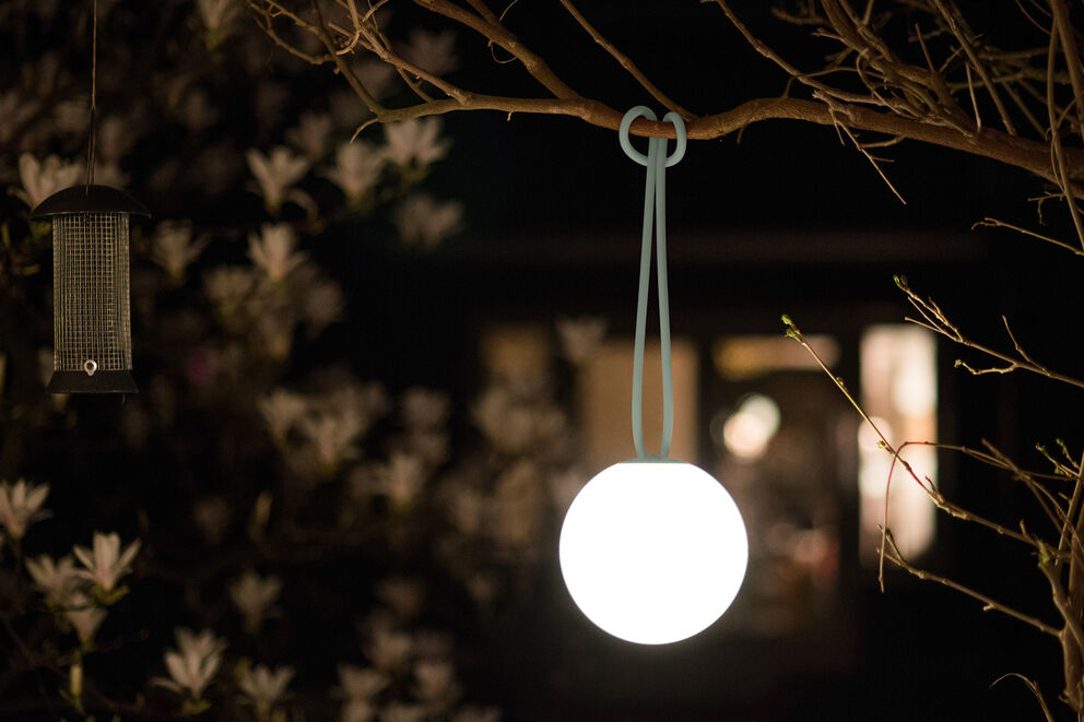 Bolleke Hanging Light