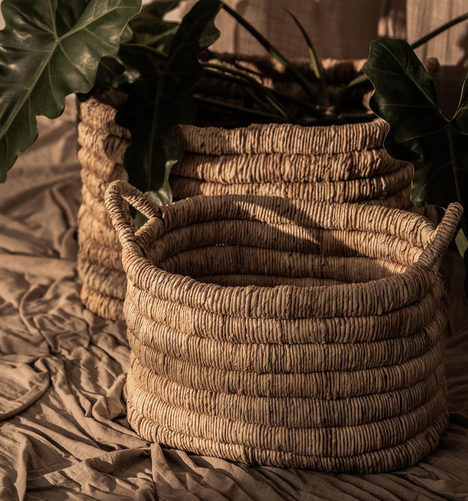 dBodhi Caterpillar Sago Rectangular Basket - Set of 2
