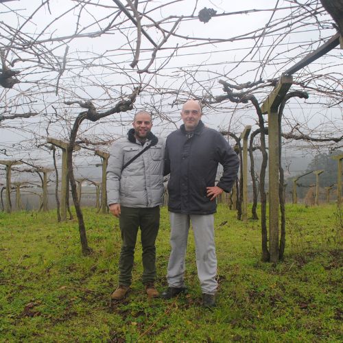 Galicia Group