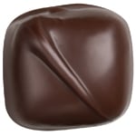Double Chocolate Caramels