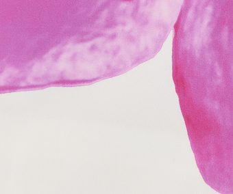 Beaded Silk Mini Skirt - Off White/Fuchsia Flower