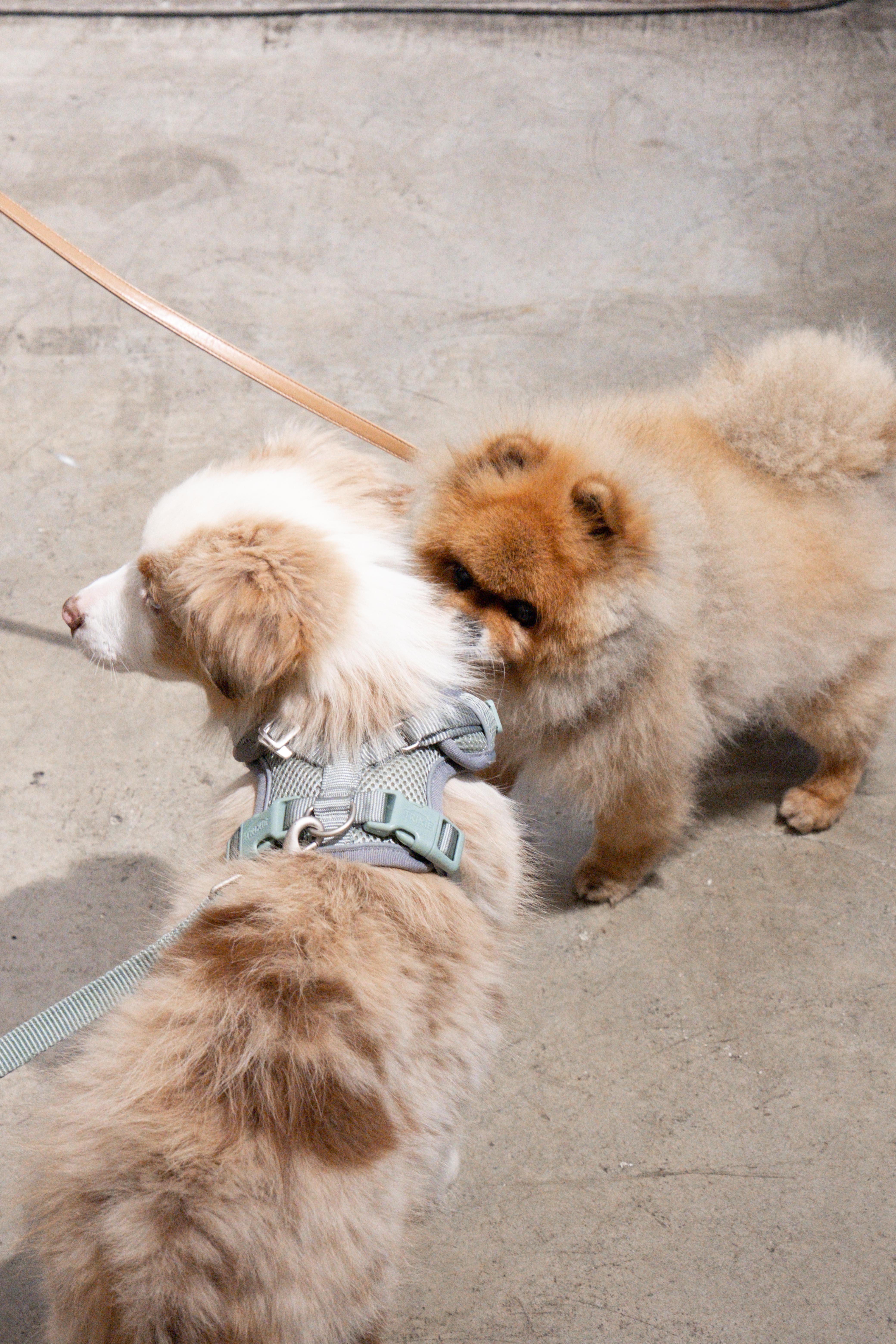 LITERARY_MARINA DI GUARDO-46.PNG