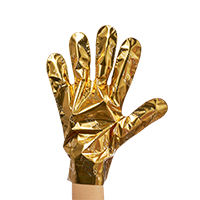 Golden Renewal Duo