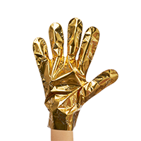 Golden Renewal Duo