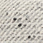 Snow Speckle
