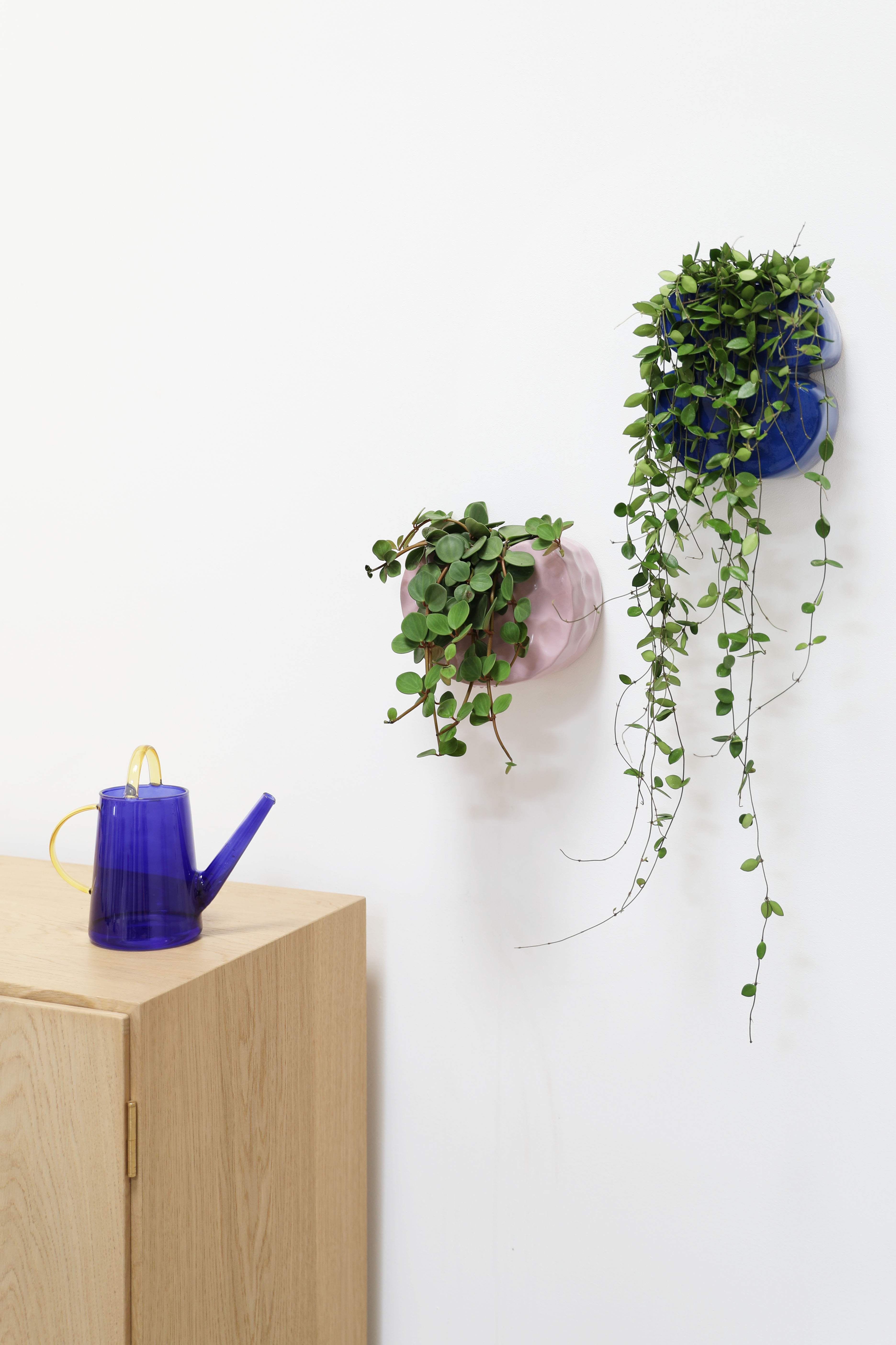 Loop Watering Can