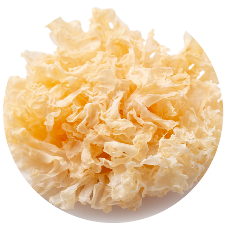 White Jelly Mushroom Extract