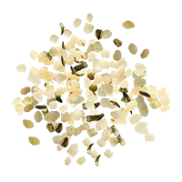 Hemp Seeds