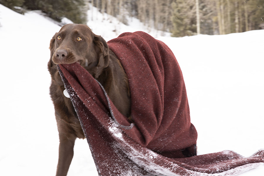 image of Utility Wool Throw