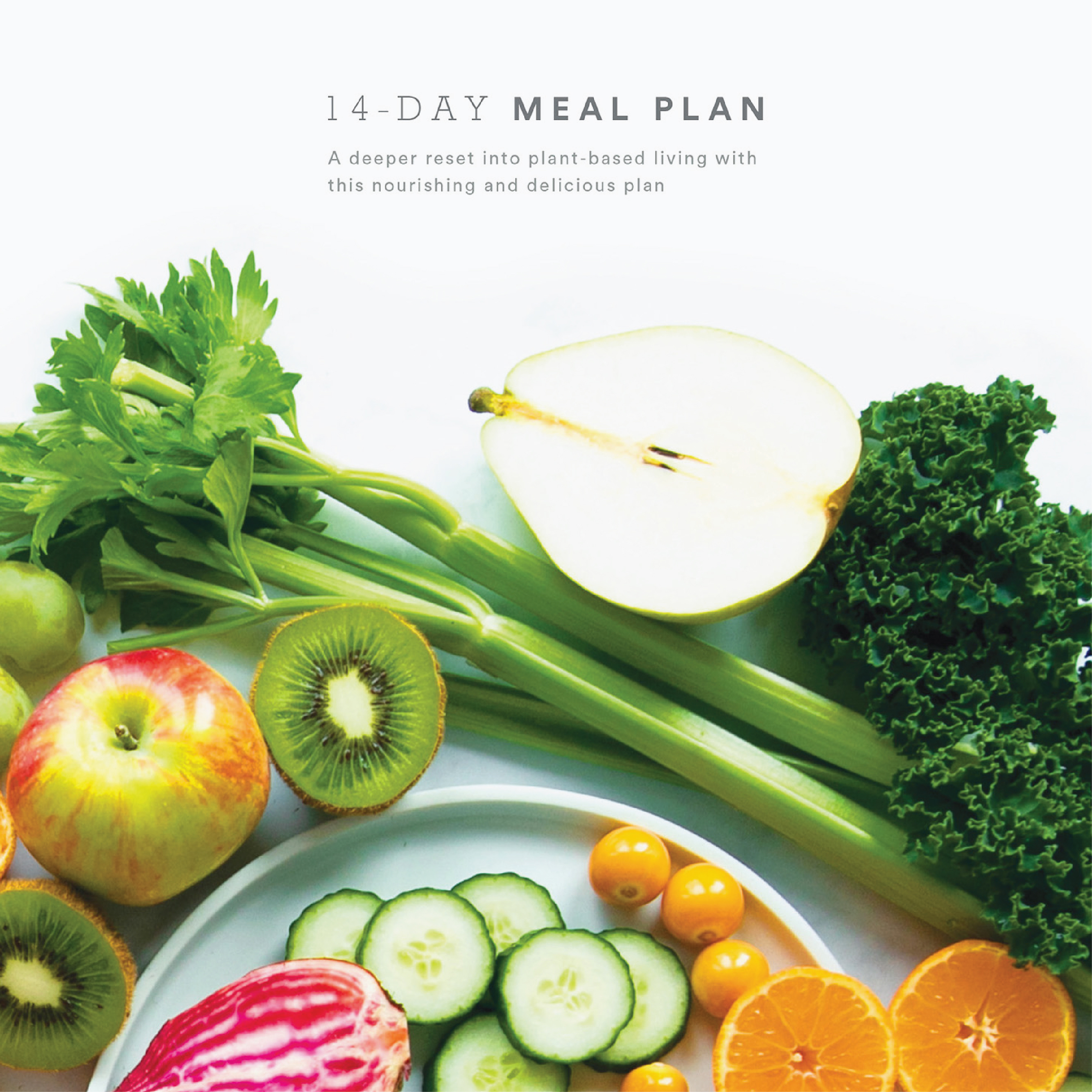 MEAL PLANS-image2