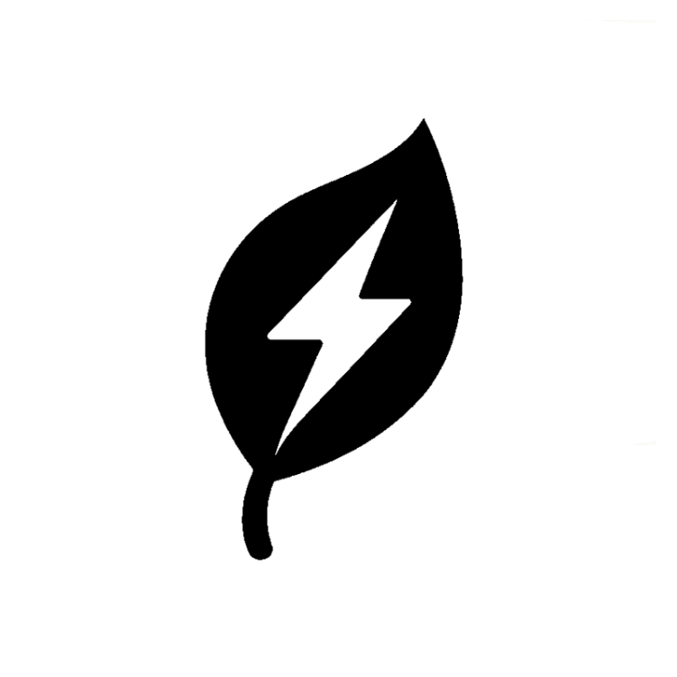 NATURAL CAFFEINE<br>
DERIVED FROM GREEN TEA