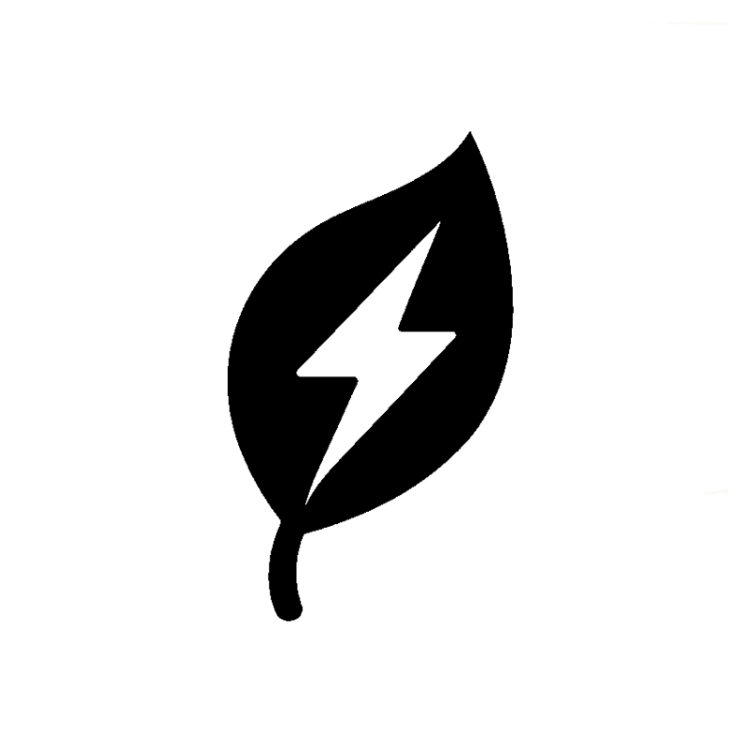 NATURAL CAFFEINE<br>
DERIVED FROM GREEN TEA
