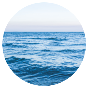 Smoothing & Firming Body Kit - Clean Ocean