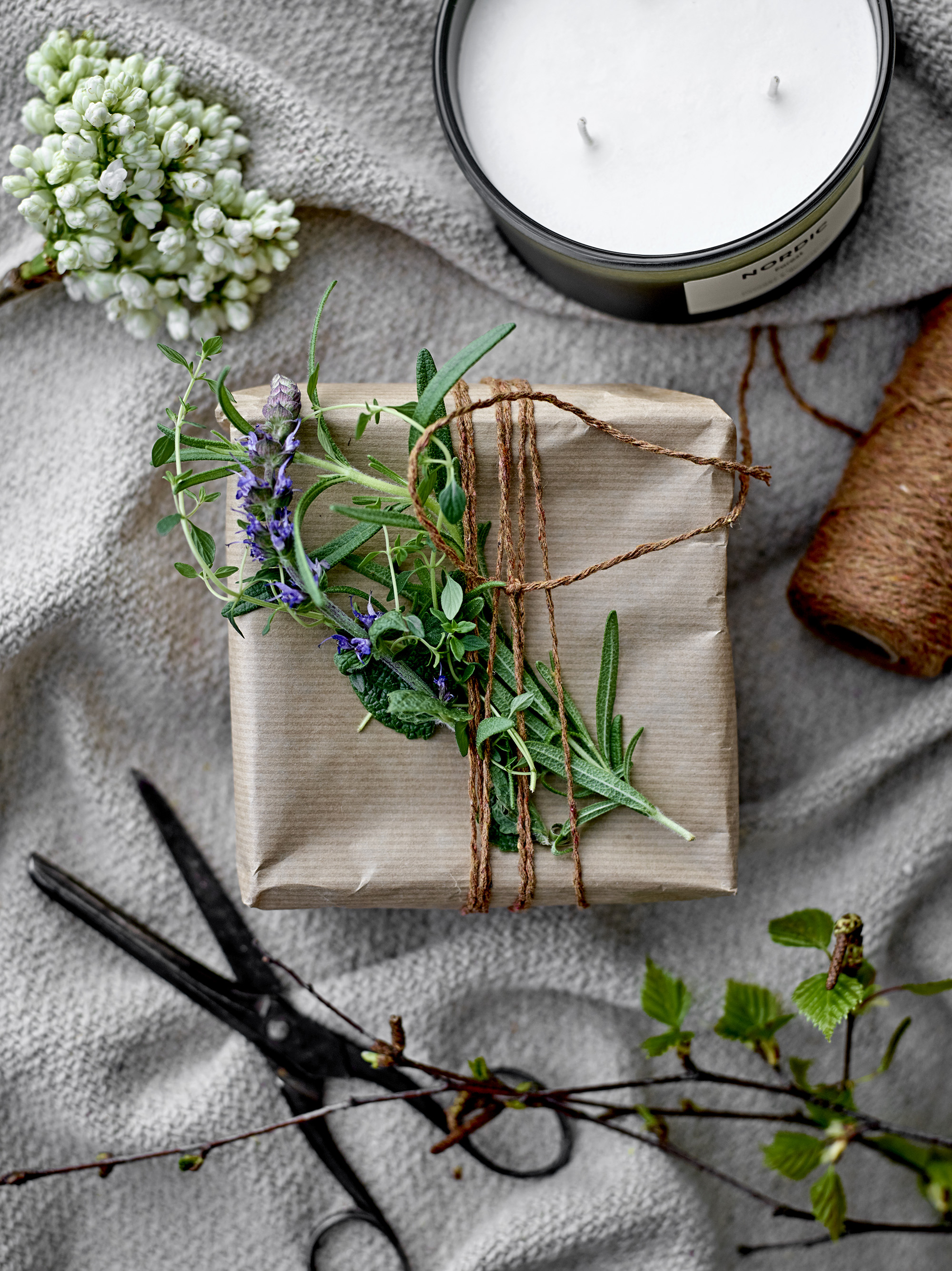 Nordic Forest Scented Candle
