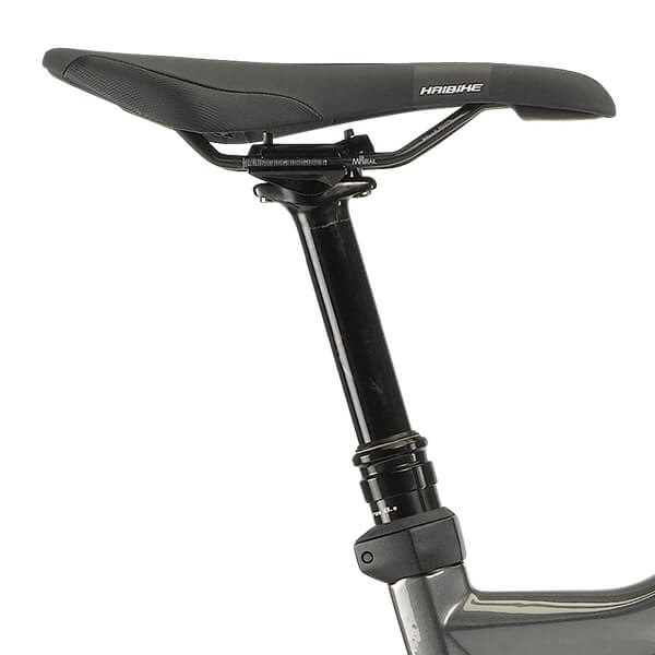 Haibike xDuro AllTrail 6 Flyon Maxxis Tyres