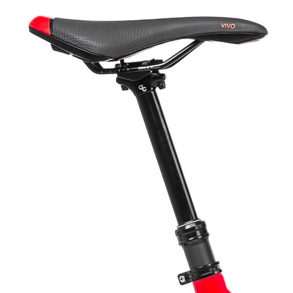 Orbea Wild FS H20 Maxxis Tyres