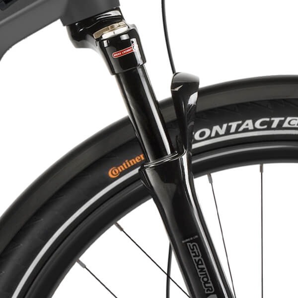 Haibike Trekking 9 Mobie eBike Forks