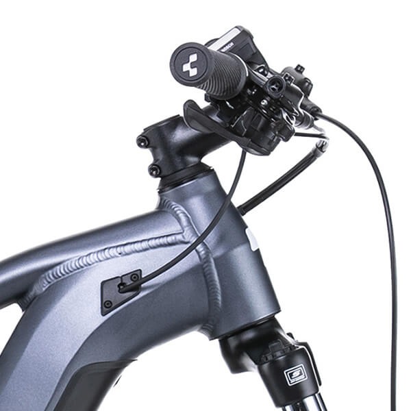 Cube Reaction Hybrid Performance Bosch Purion Display