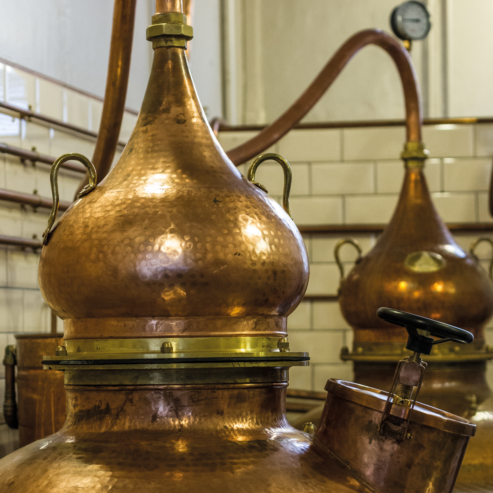 Flavours Included in Pickering's Mystery Bottle