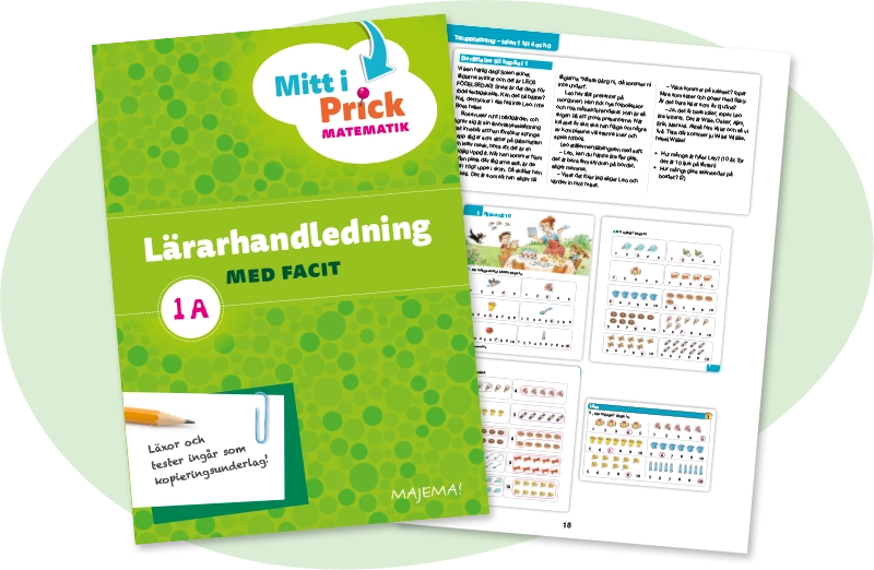 Lärarhandledning