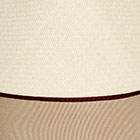 Double band Ivory-Brown