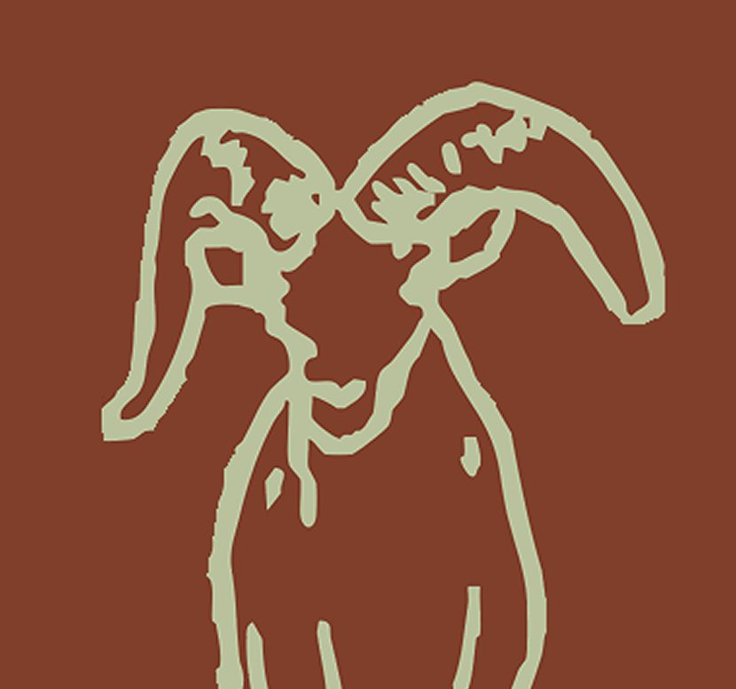 Grand Canyon Puff Print Pocket Tee