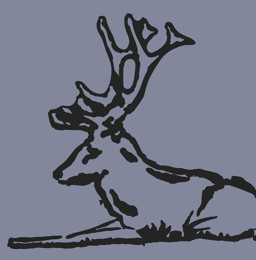 Rocky Mountain Puff Print Pocket Tee