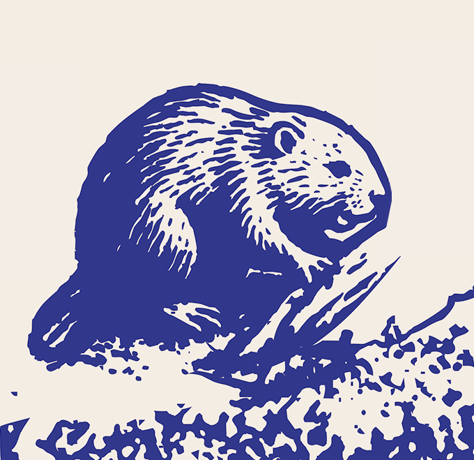 Acadia Puff Print Pocket Tee