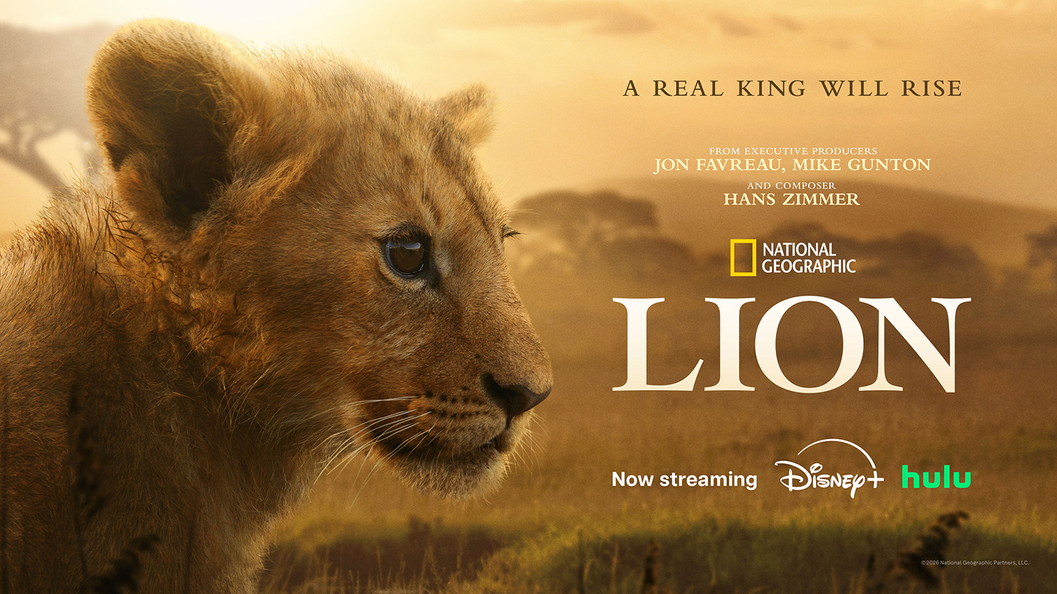 National Geographic’s LION x PATH