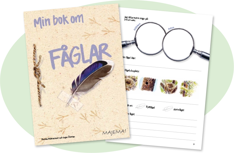 Min bok om fåglar, åk 2–4