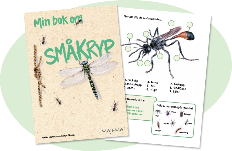 Min bok om småkryp, åk 2–4