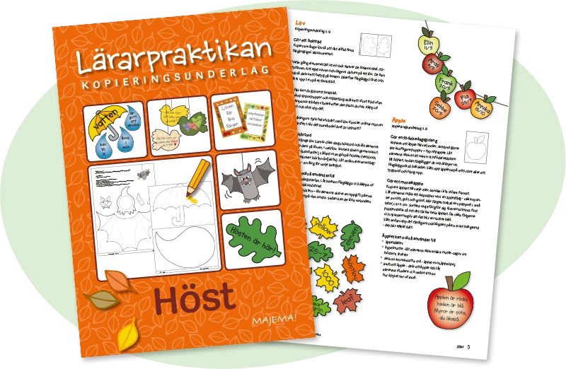 Lärarpraktikan Höst, FK–åk 3