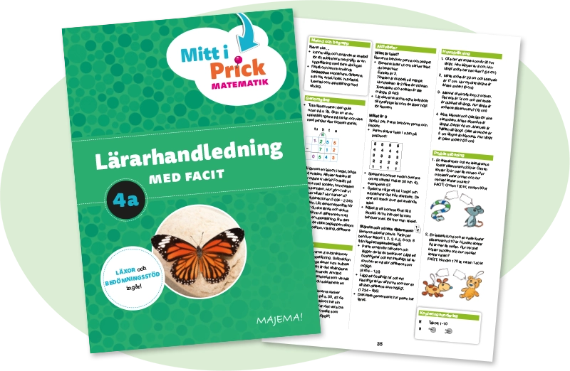 Lärarhandledning
