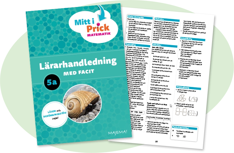 Lärarhandledning