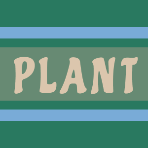 Plant Native Trail Crew Sock 2 Pack