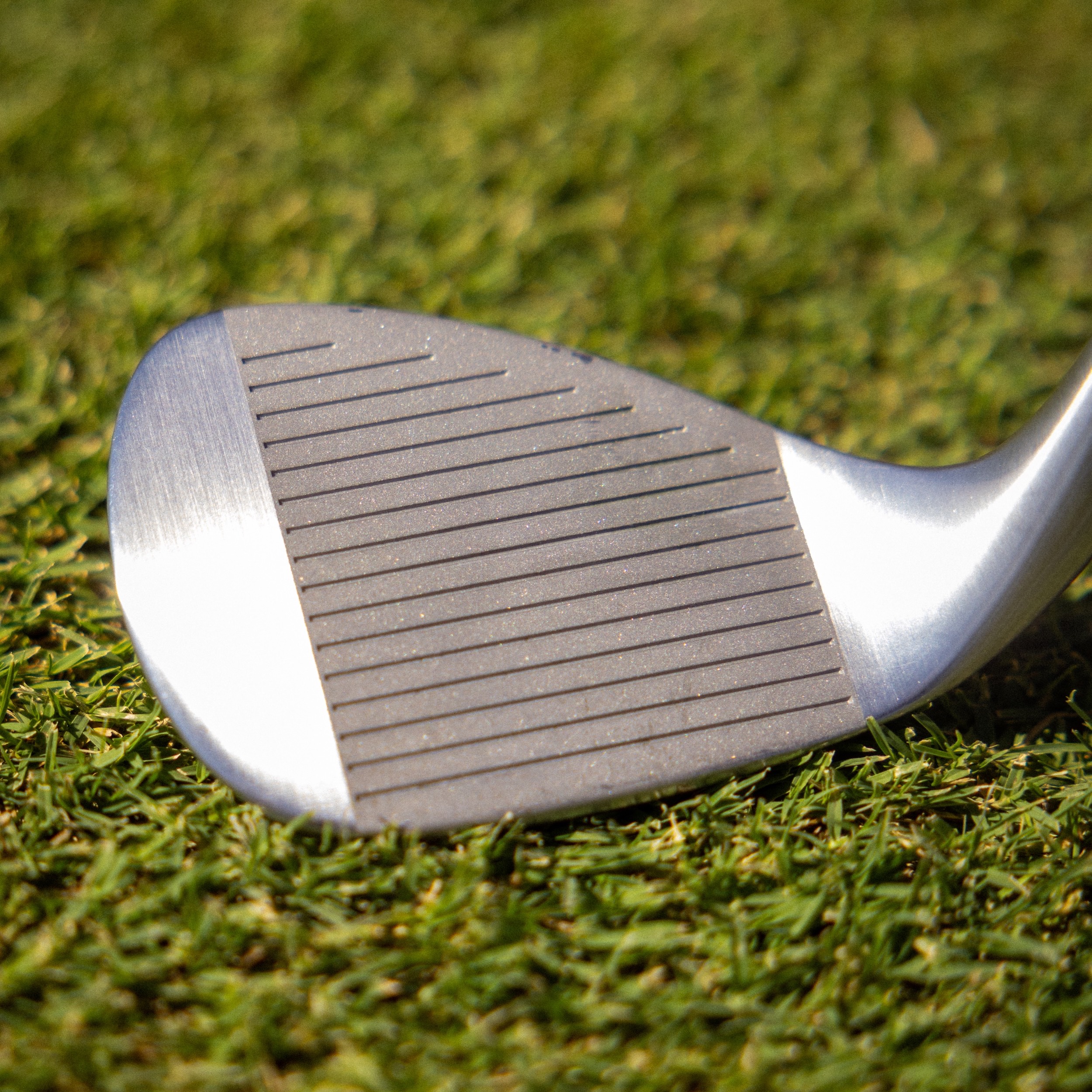 Forged Wedge Series - Y Grind Raw Image