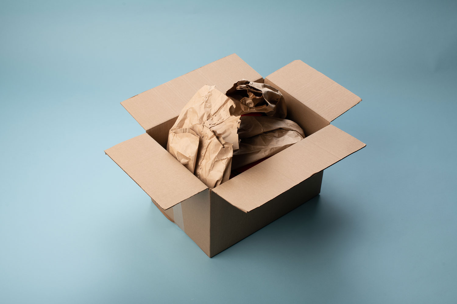 Ranpak PadPak Guardian Cushioning Paper – A New Earth Project
