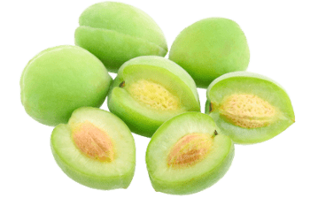 Twinkle Toothpaste Bundle